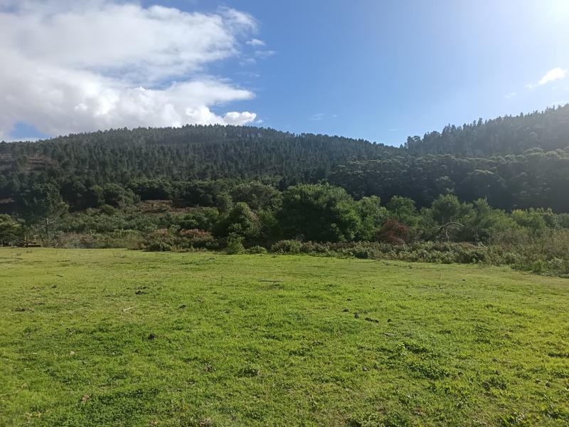 0 Bedroom Property for Sale in Napier Western Cape